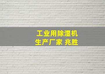 工业用除湿机生产厂家 兆胜